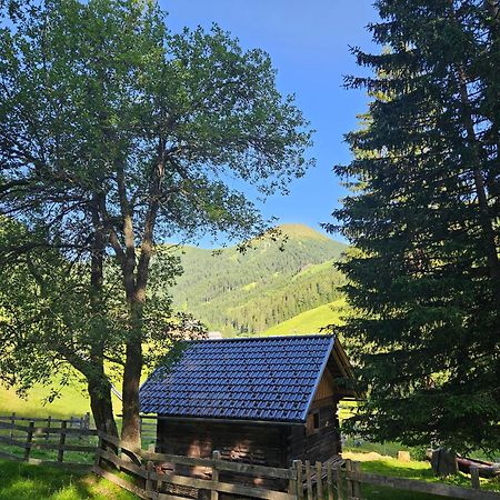 Kinder- Und Familienhotel Nockalm Инеркремс Екстериор снимка