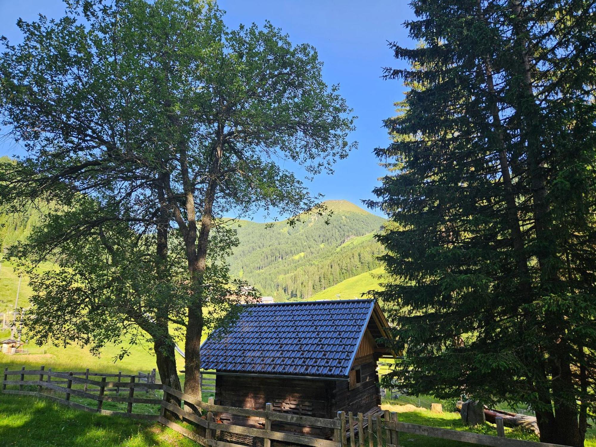 Kinder- Und Familienhotel Nockalm Инеркремс Екстериор снимка